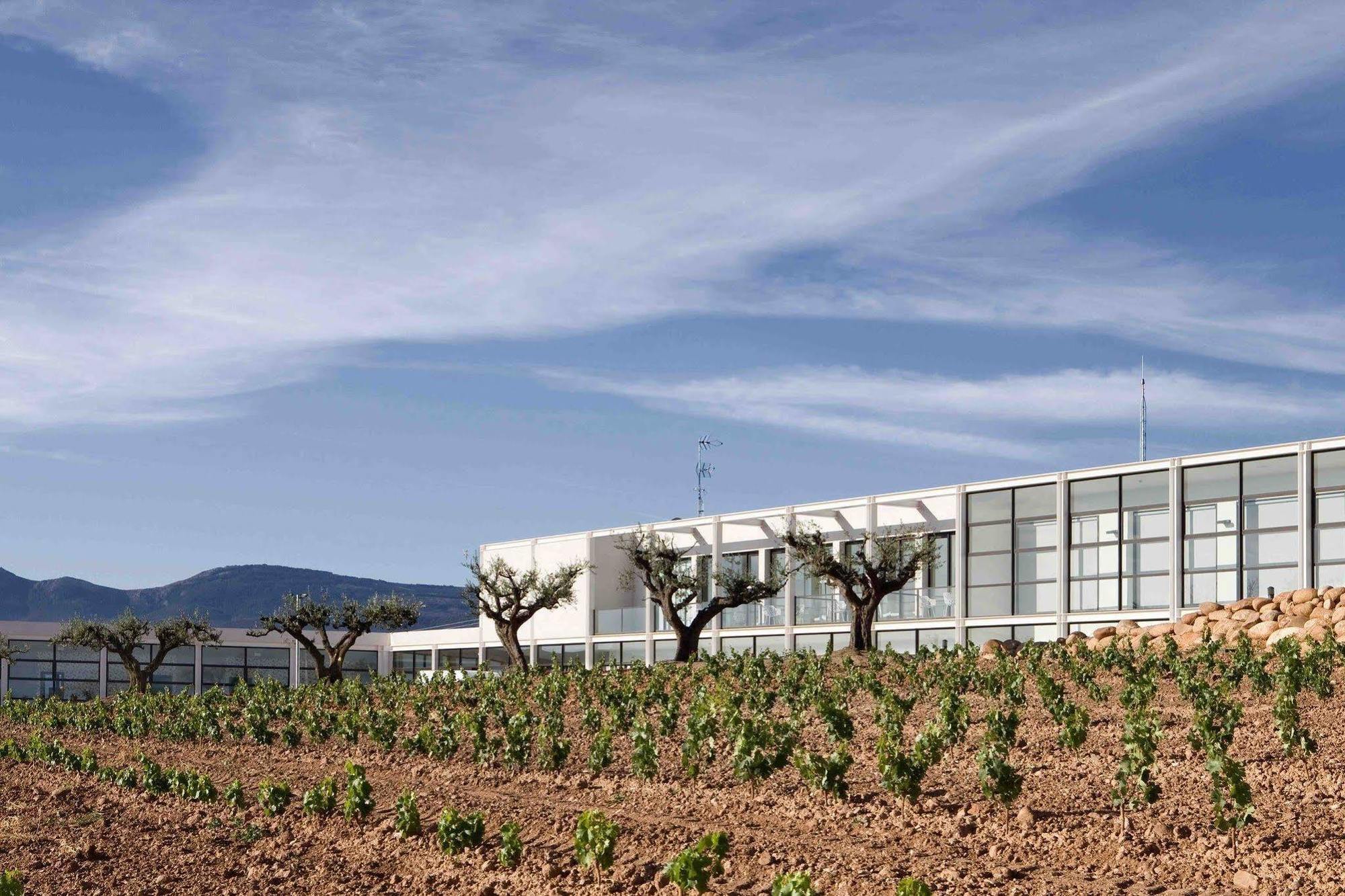 Hotel-Bodega Finca De Los Arandinos Entrena Ngoại thất bức ảnh