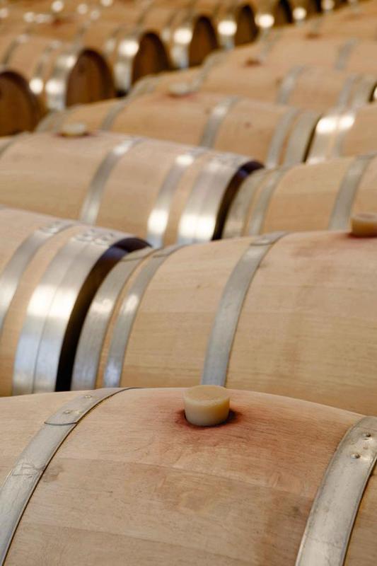 Hotel-Bodega Finca De Los Arandinos Entrena Ngoại thất bức ảnh